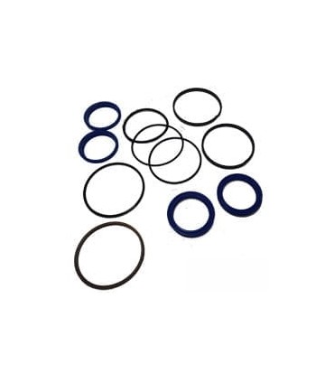 KIT DE JOINTS PUR LANDINI 3668574M91