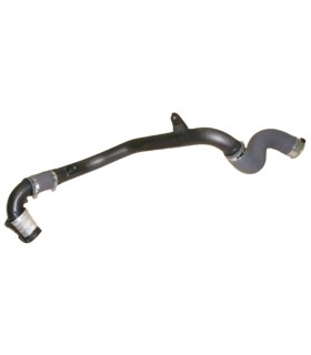 SCHLAUCH LUFT TURBO FÜR RENAULT FÜR MEGANE 3 III 1,9 DCI 8200962920