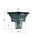 THERMOSTAT FÜR RENAULT-LKW 7421746213 21746213