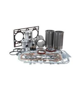 MOTORKIT FÜR CASE IH D179 3055151R1 3055215R2 3055215R3 3055215R4 3055310R92