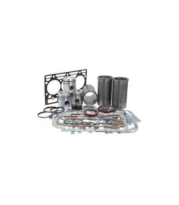 MOTORKIT FÜR CASE IH D179 3055151R1 3055215R2 3055215R3 3055215R4 3055310R92