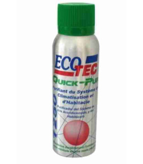 ECOTEC QUICK-PUR 1250