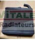 Radiateur moteur pour PEUGEOT 204 / 304
