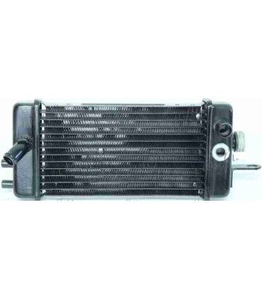  Radiateur moteur SCANIA Série P 95-04 