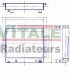 RADIATORE ACQUA PER CARRELLO ELEVATORE HYSTER