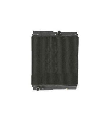 RADIATEUR EAU LANDINI LEGEND 165