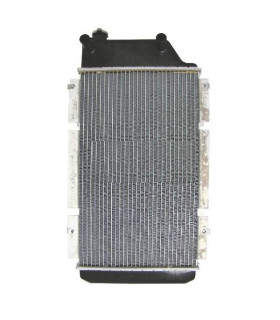 Radiatore ad acqua Bobcat 425-428