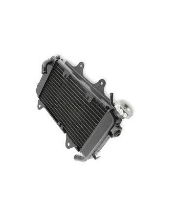 Radiatore per moto KTM 125