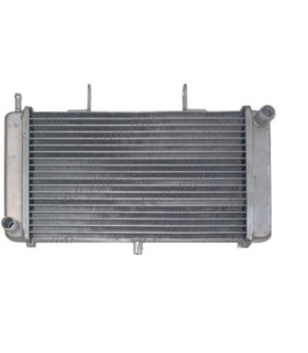 Radiatore per moto Derbi 00H03811011