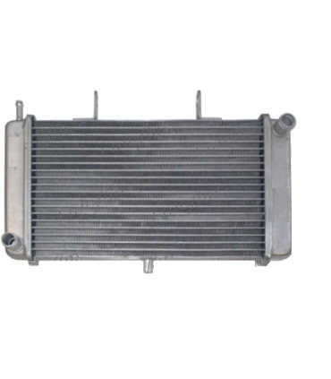  Radiateur moteur SCANIA Série P 95-04 