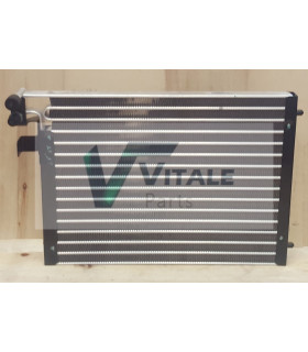 Radiateur eau pour IVECO Daily 03-06 