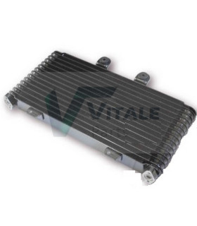 RADIATEUR HUILE SUZUKI GSF 1200 S Bandit