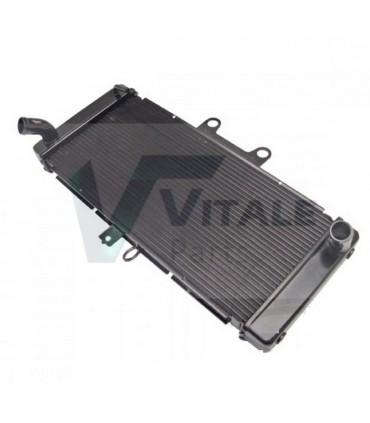 RADIATOR MOTOCYCLE HONDA 19010MCZ003