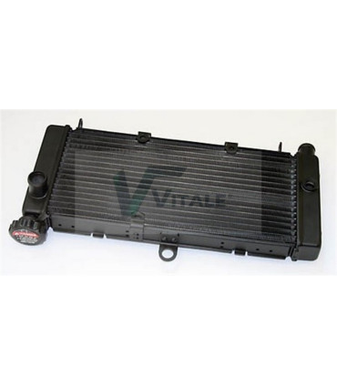 RADIATEUR MOTO HONDA CB600 F HORNET S CB600S F2 HORNET S