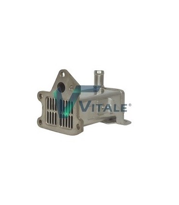 EGR NISSAN NAVARA  MM111NG V29005152 NI290152