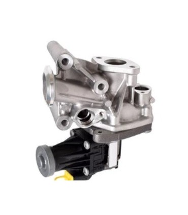 EGR SUITABLE FOR CASE  NEW HOLLAND FARMHALL 580/669153 38017879