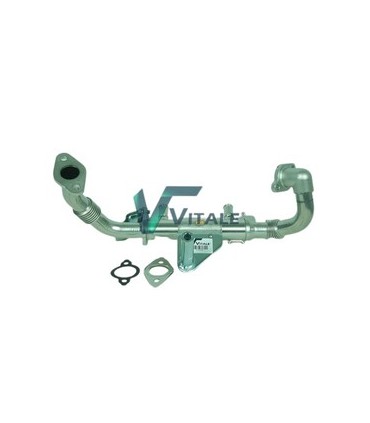 Radiatore EGR Renault 5001870059