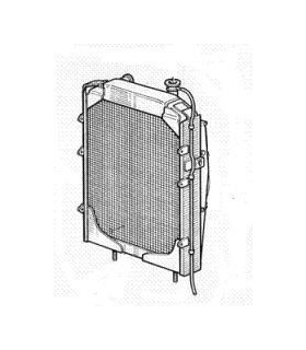  Radiateur moteur RENAULT R10