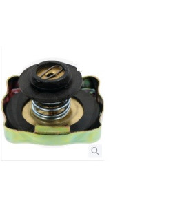  Radiateur moteur RENAULT R10