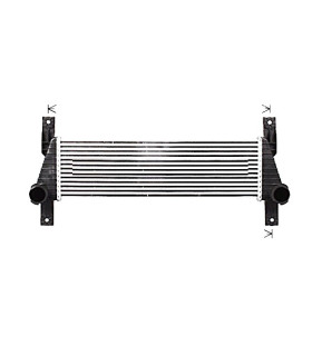  Radiateur moteur RENAULT R10