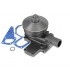 Pompa dell'acqua Massey Ferguson 3650 3660 3640 6485 6490 6495 6497 6499 7485 7490 7495 8450 8460