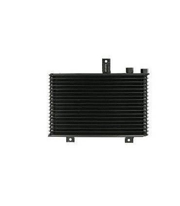 RADIATEUR HUILE L200 MR355379