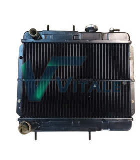 RADIATORE ACQUA PER RENAULT RODEO 4