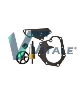 WATER PUMP KIT FOR JOHN DEERE RE62659 RE11347