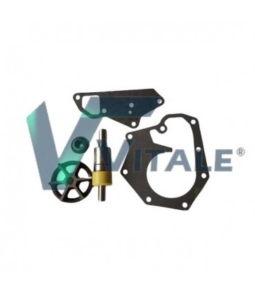 KIT POMPA ACQUA PER JOHN DEERE RE62659 RE11347
