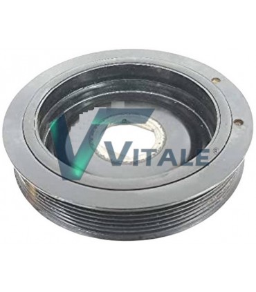 POLEA DE CIGUENAL PARA RENAULT TRAFIC III 2.0 DCI 123039555R