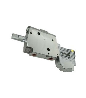 UNITÀ DI DISTRIBUZIONE PER CASE NEW HOLLAND 1-32-573-431 84242998 R917010127