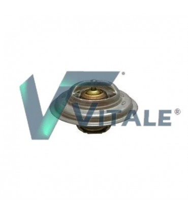 THERMOSTAT POUR MASSEY FERGUSON LANDINI 1446222M91 2485639 2485650 2485668