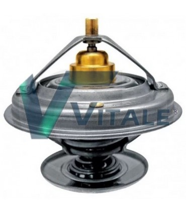 THERMOSTAT FOR FENDT F824200050060