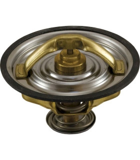 THERMOSTAT FOR FENDT G199204010020