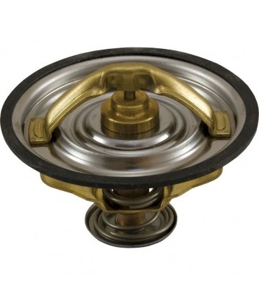 TERMOSTATO PARA FENDT G199204010020