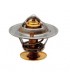 THERMOSTAT POUR CASE 2830734 2852159