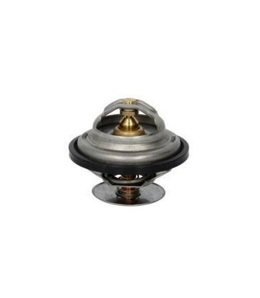 THERMOSTAT POUR CASE IH 162000060702