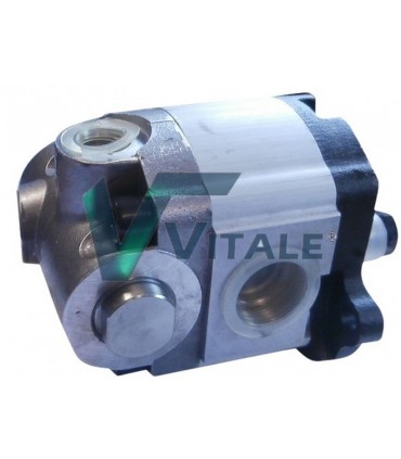 Pompa idraulica per Massey Ferguson 3763744M91 3819972M91 355791X1 70927729 897 146M94 1685031M91 1691156M91