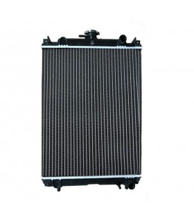 Radiatore ad acqua Caterpillar 1917544 191-7544
