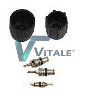 VALVOLE PRESSIONE PNEUMATICI KANGOO LAGUNA SCENIC 7701205920