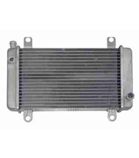  Radiateur moteur SCANIA Série P 95-04 