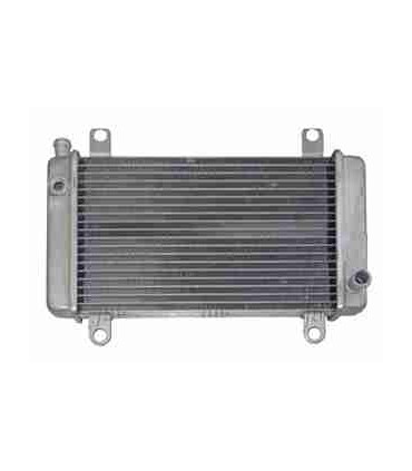  Radiateur moteur SCANIA Série P 95-04 