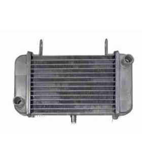  Radiateur moteur SCANIA Série P 95-04 