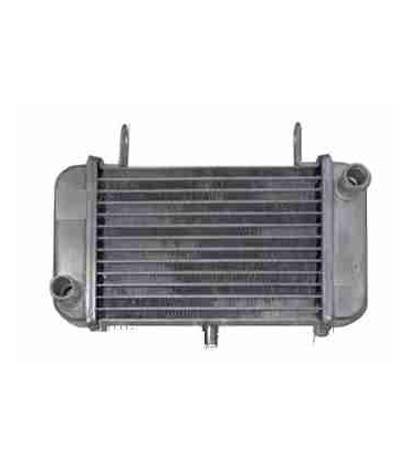  Radiateur EAU MOTO