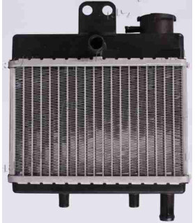  Radiateur moteur SCANIA Série P 95-04 