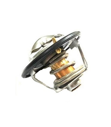 THERMOSTAT FÜR FORD NEW HOLLAND STEYR T4000 T5000 T6000 T7000 TSA 44304 28563135 504384724