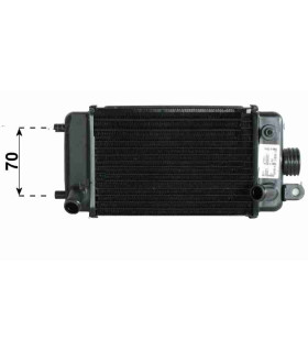  Radiateur EAU MOTO BETAMOTOR REV80