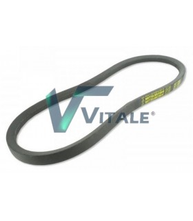 COURROIE DE TRUBINE POUR  ISEKI SG13  SG15  SG17 859611200700