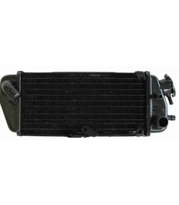  Radiateur EAU MOTO BETAMOTOR VEM 125