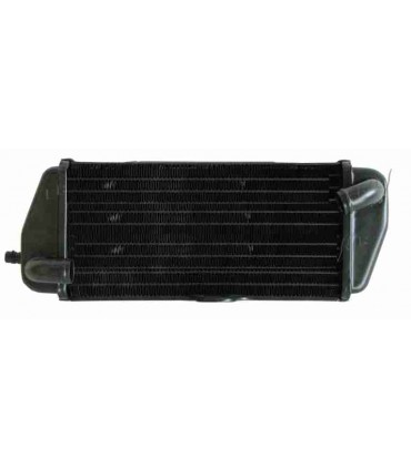  Radiateur EAU MOTO BETAMOTOR VEM 125
